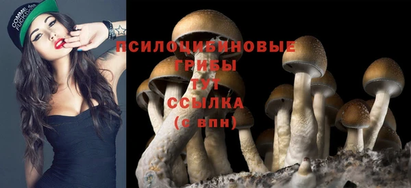 меф Белокуриха