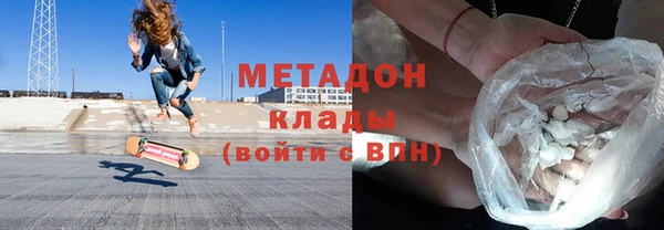 сатива Беломорск
