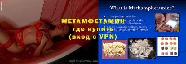 сатива Беломорск