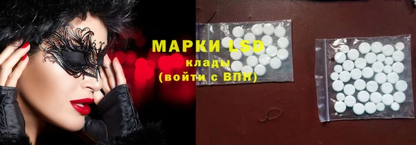 сатива Беломорск