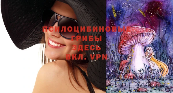 меф Белокуриха