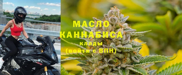 сатива Беломорск